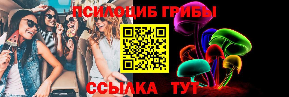 Калач-на-Дону  Псилоцибиновые грибы мухоморы  Вход с VPN 